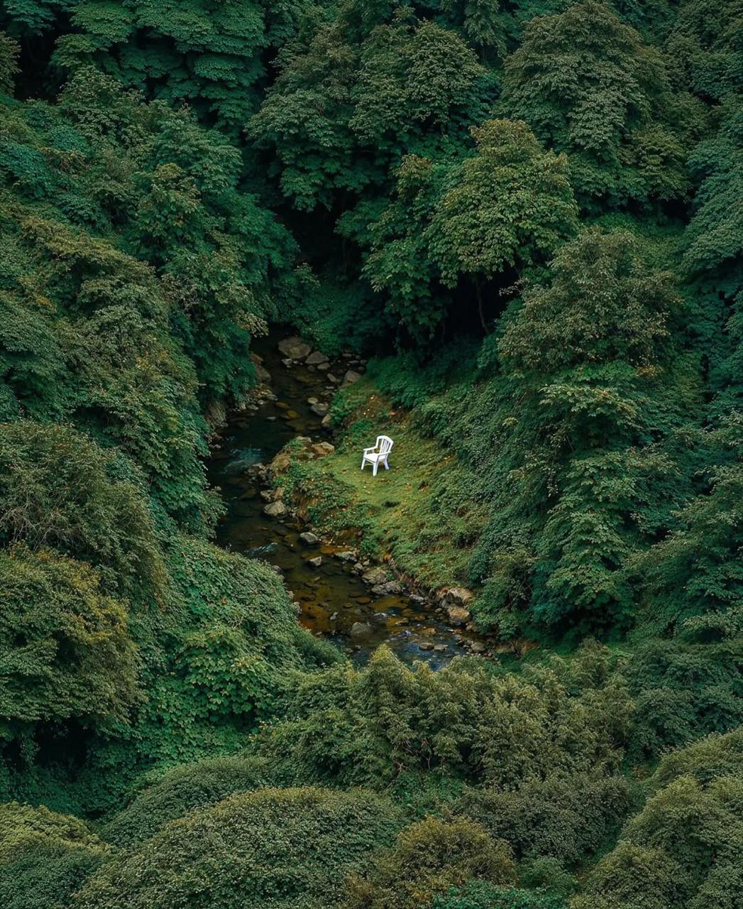 Safari